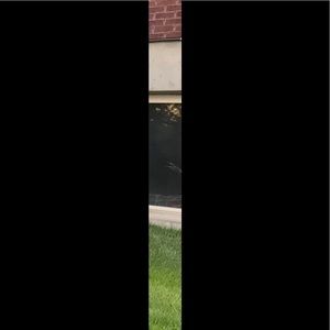 Meet your Posher, Owen